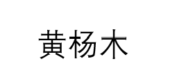 黄杨木文字